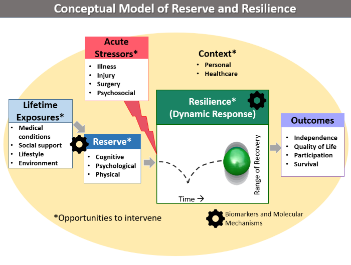 Resilience model