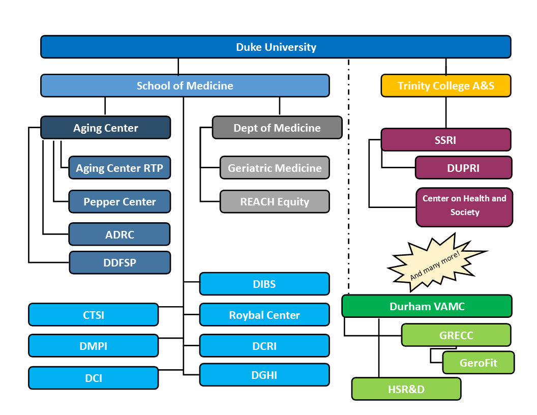 Org chart of Aging Center T32