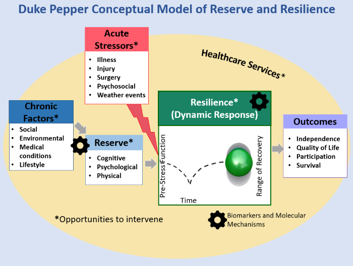 Resilience model