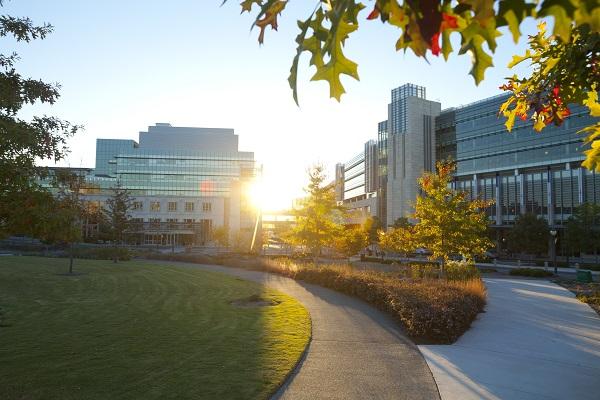 Sunrise over Duke Medicine Pavilion