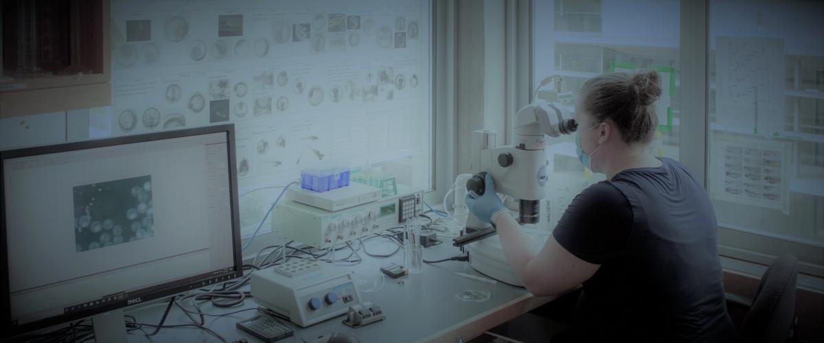 Woman looking into microscope 