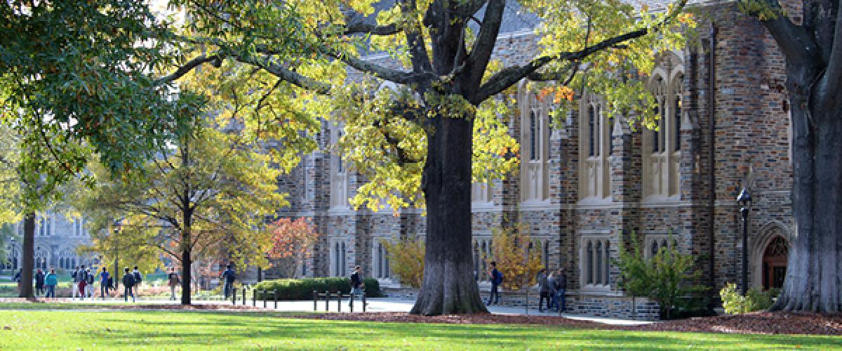 Exterior of Rubenstein Library and quad lawn