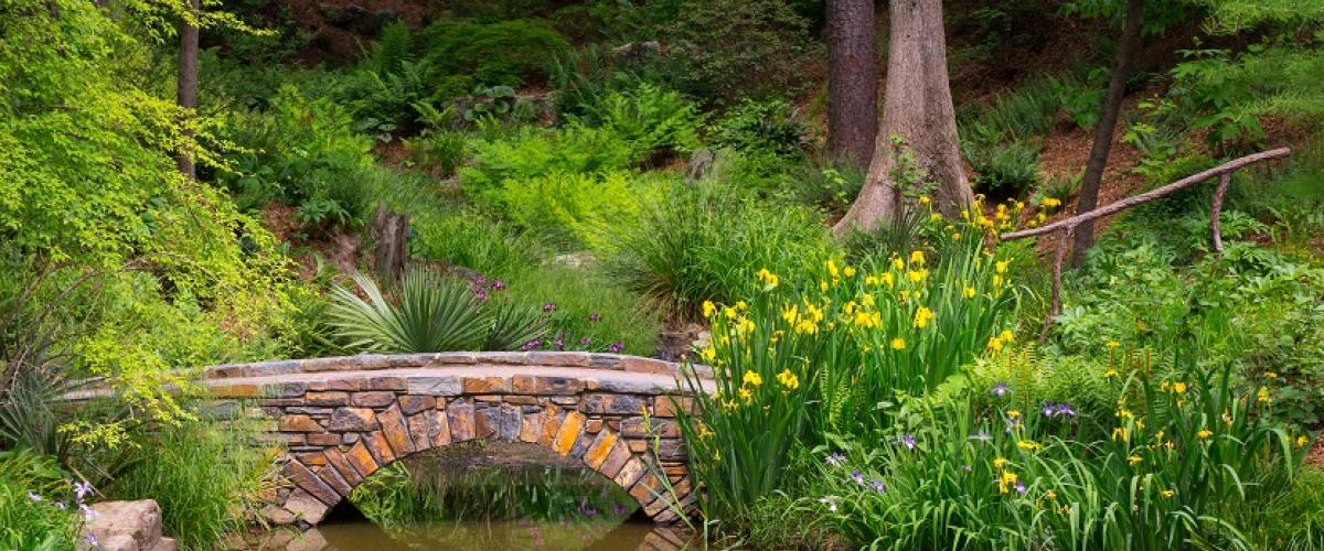 Stone bridge over water