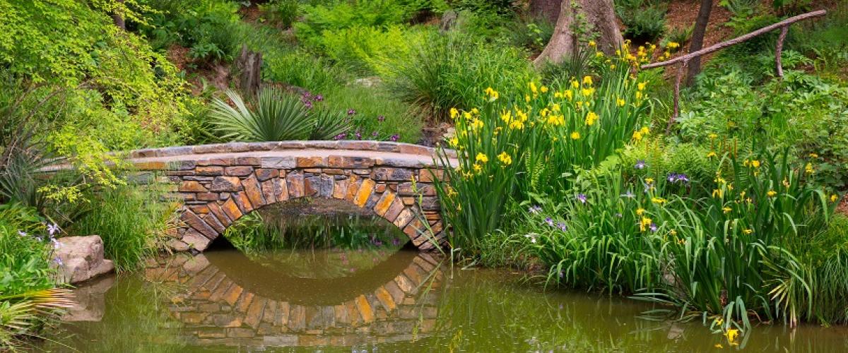 Stone bridge over water