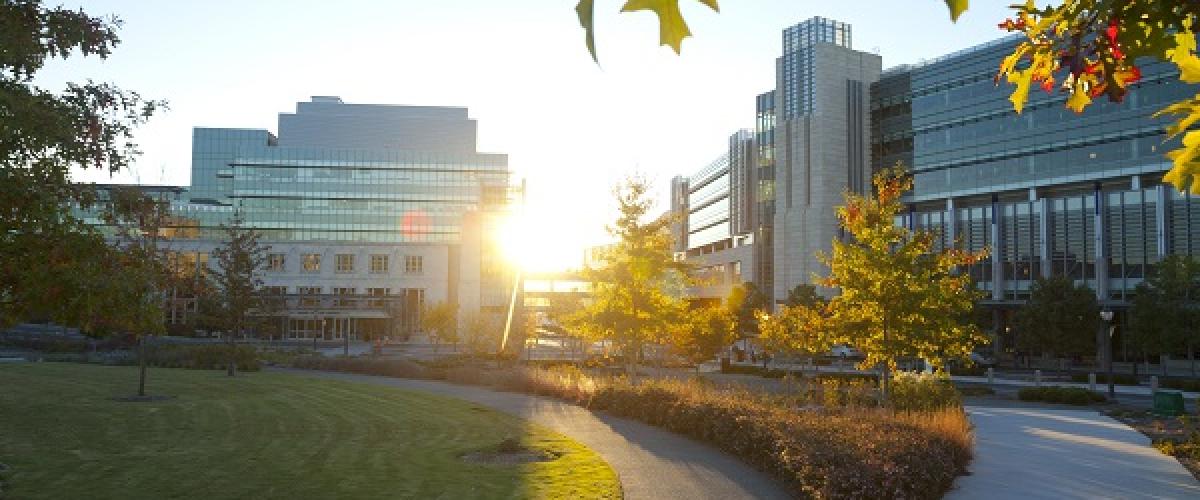 Sunrise over Duke Medicine Pavilion